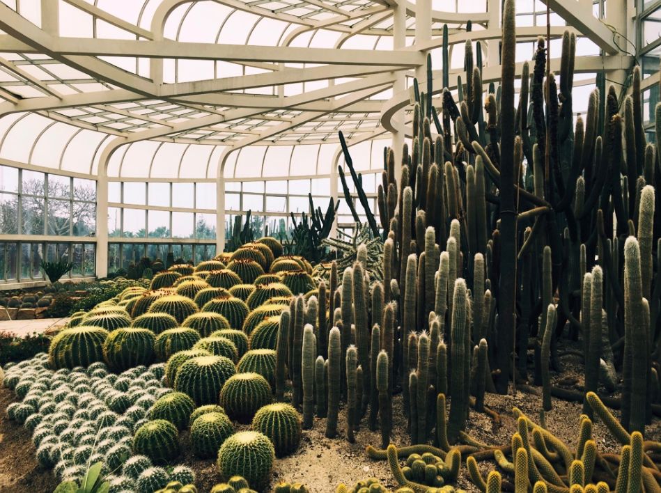 厦门网红景点拍照技巧,厦门金沙湾婚纱摄影基地拍照好看