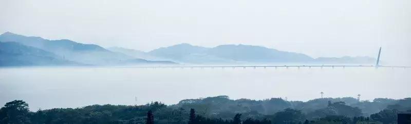 闹市中的一寸天堂,摄影师胡可镜头下的仙境——深圳湾