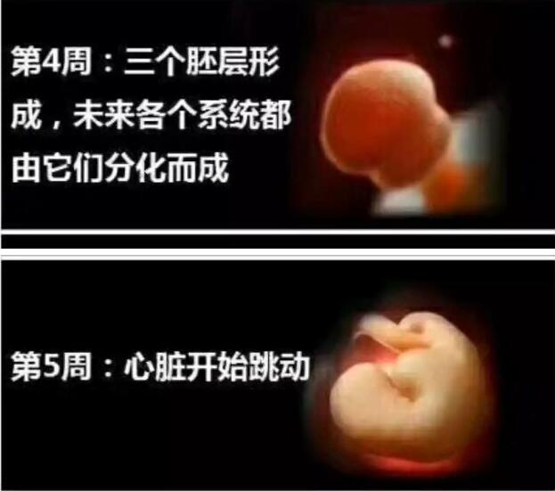 孕妈十月怀胎，详解每周小宝宝在妈妈肚子里发生了哪些变化，实用