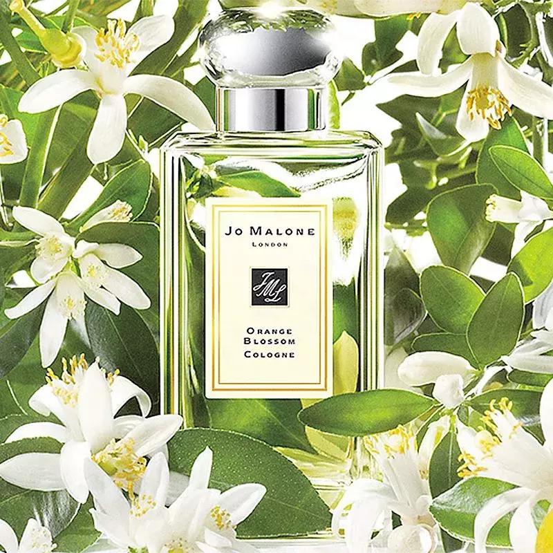 闻香识女人的香水有哪些,怎么闻香识香水