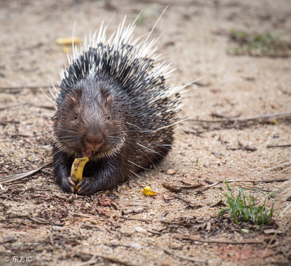 福建老板关掉建材生意,福建老板开车回农村