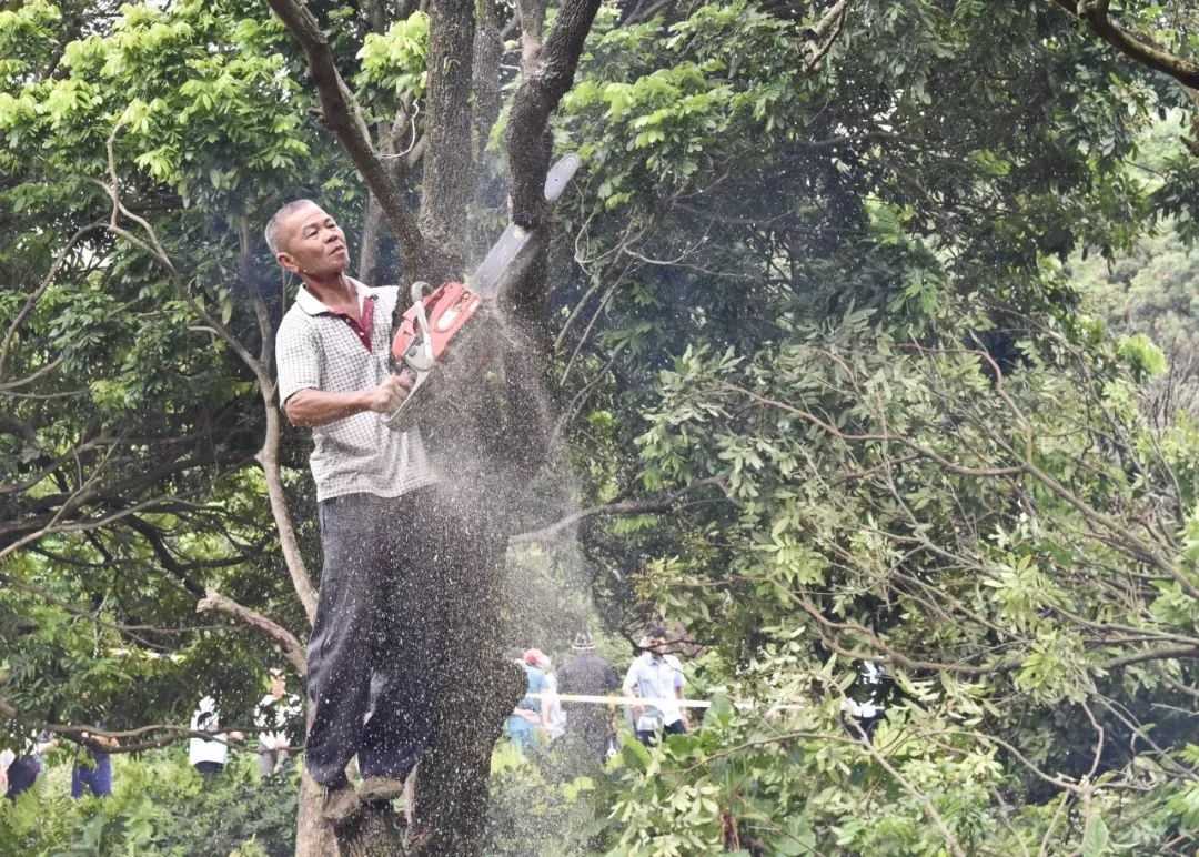 基本解决执行难拒执罪案例,基本解决执行难