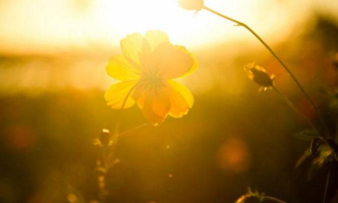 学了心理学为什么还不懂,学了心理学专业能干什么