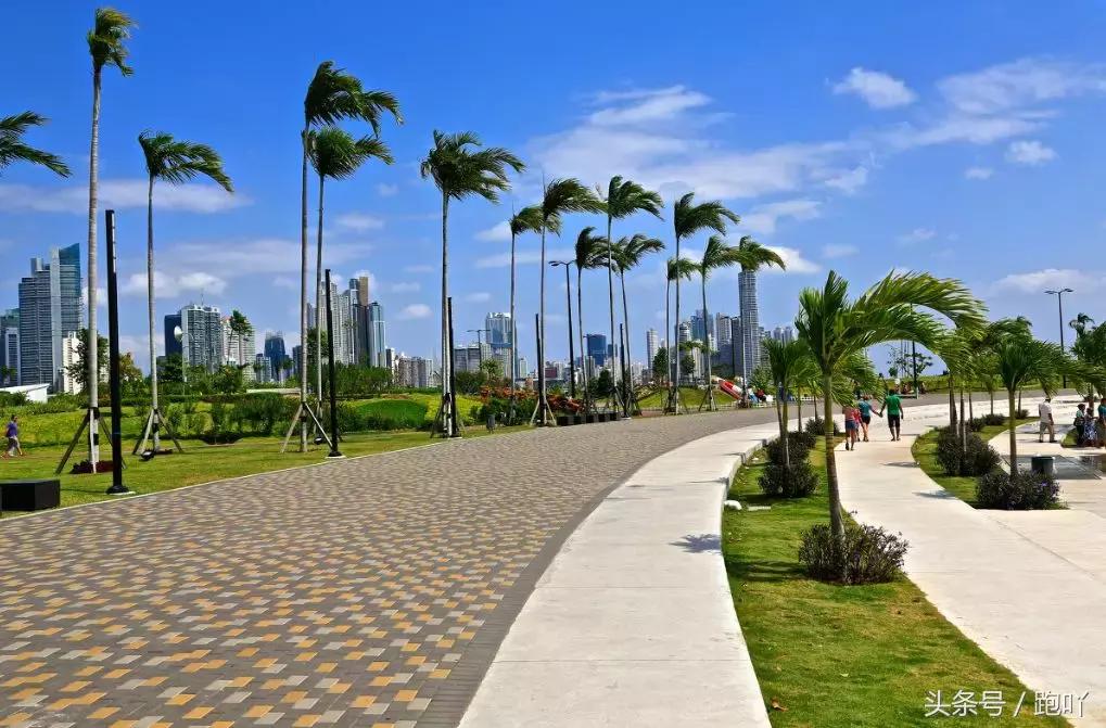 单次世界杯进球最多的国家,世界杯进球最多一场的国家