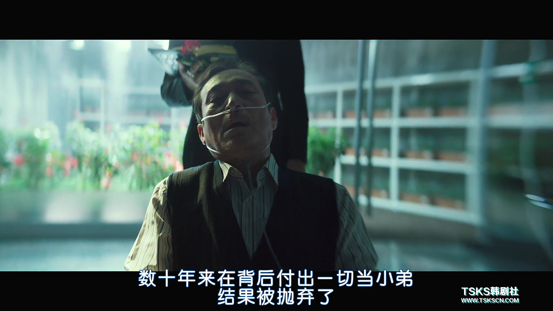 复仇与救赎,韩国复仇电影无尿点