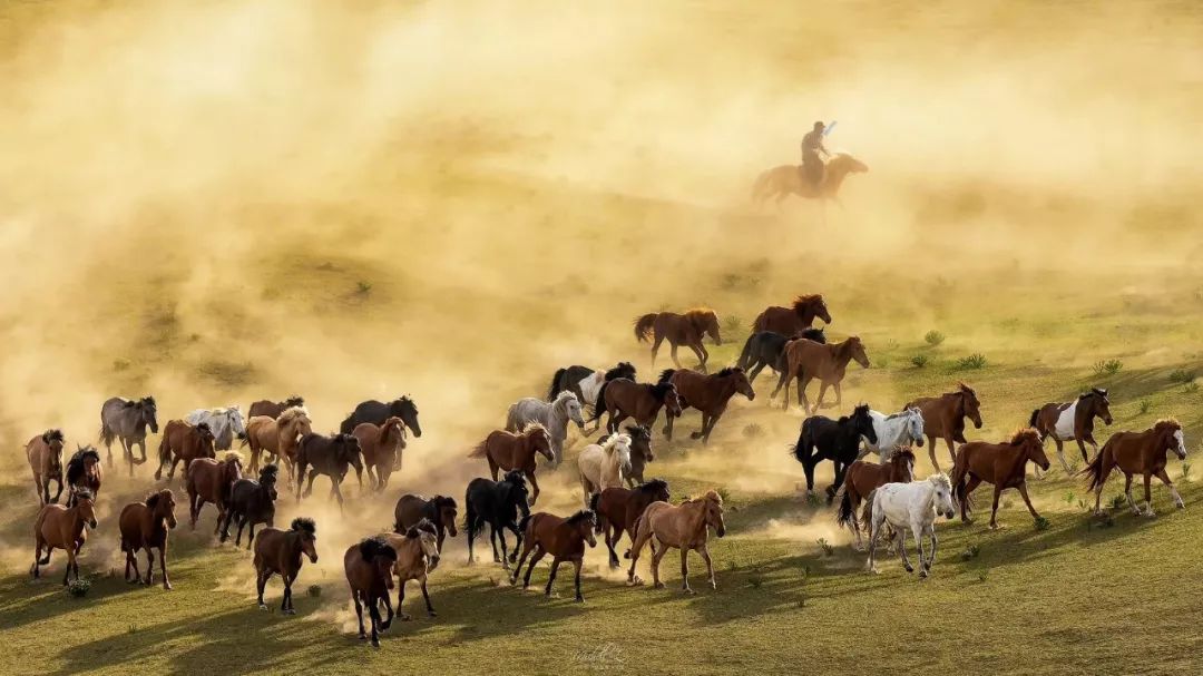 尼康d800搭配尼康24-120效果怎么样,尼康d800自身携带的拍摄风格
