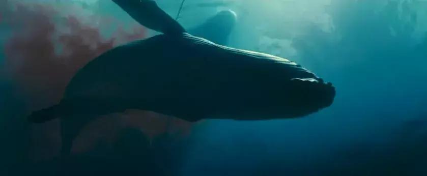 探索自然的纪录片推荐,七部神级自然纪录片你看过几部