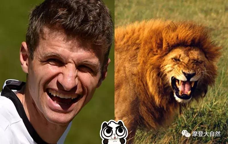 当c罗是什么体验,当c罗扮成流浪汉