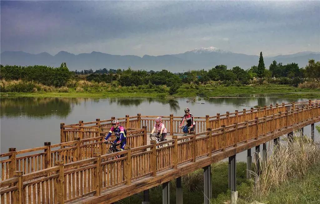 你熟悉的成都“四美”已经变成“五美”了，你知道那是什么吗？