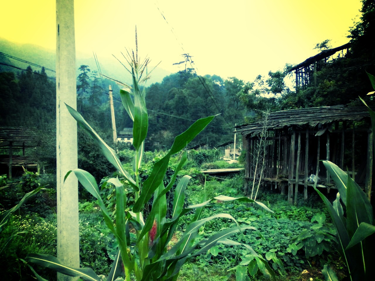 贵州发现神秘地方,黎平县洪州镇江口侗寨