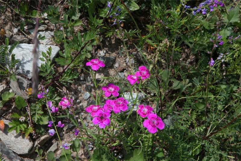 太平沟景区,兰州太平沟