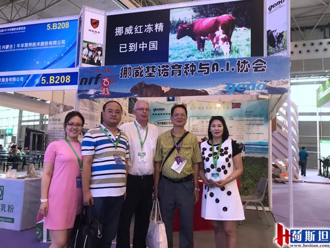 荷斯坦展览会,荷斯坦牛展