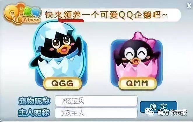 qq宠物为什么要停运,qq宠物停运还能放出宠物吗