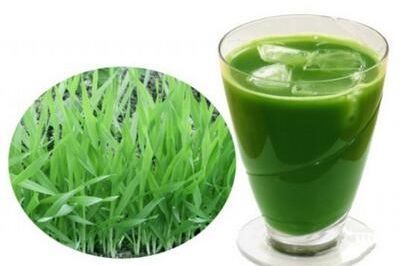 大麦青汁的营养成分,大麦若叶青汁营养成分统计表