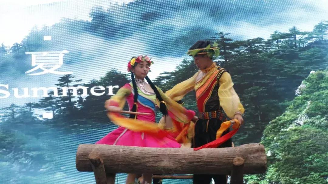 第二届重庆避暑旅游文化节,重庆市第二届乡村旅游避暑季