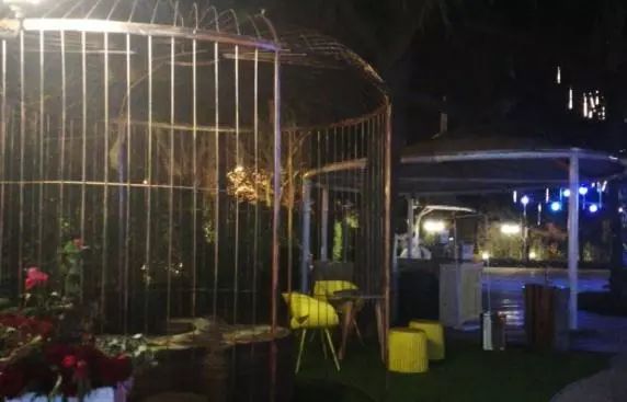 青岛喝酒看世界杯的地方,青岛世界杯饭店