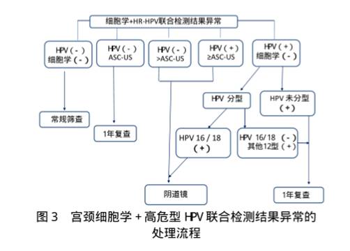 hpv51和52都是阳性如何处理,hpv阳性为什么医生怀疑艾滋病