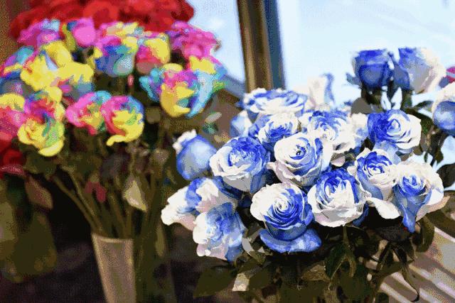 roseonly上海旗舰店地址,roseonly香港海港