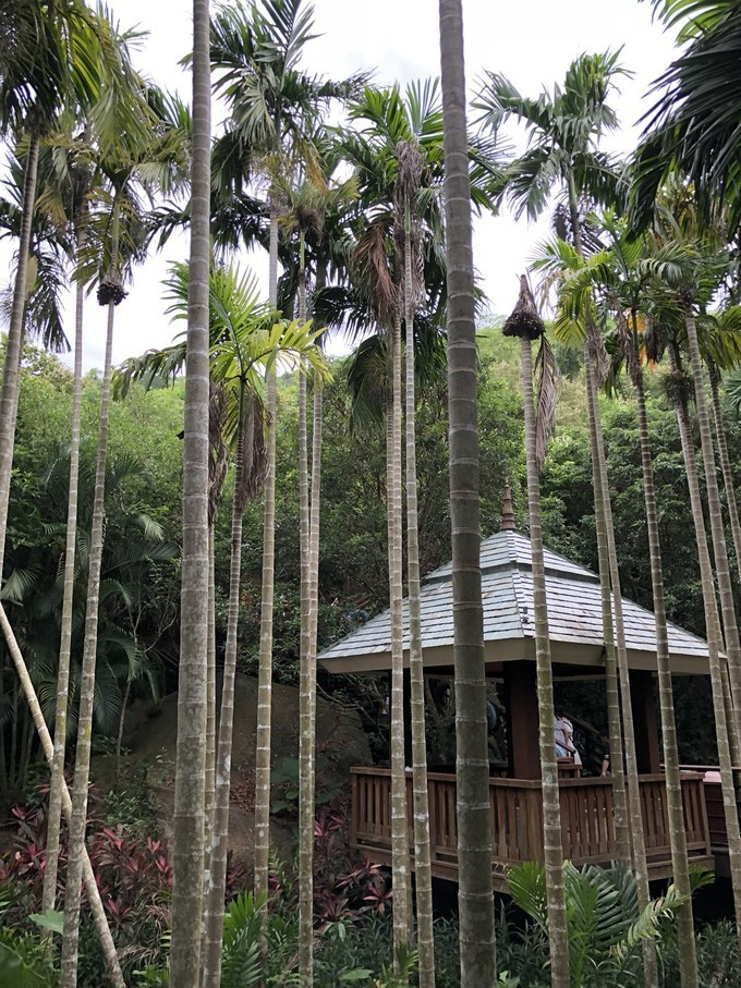 带你到三亚感受不一样的美食美景,三亚之行怎能错过这些美食和美景