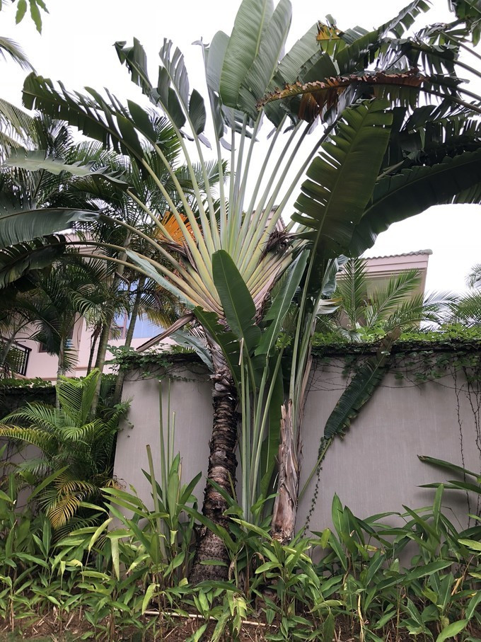 带你到三亚感受不一样的美食美景,三亚之行怎能错过这些美食和美景