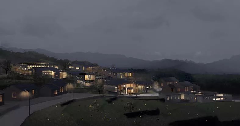 未来之星设计师,未来之星小设计