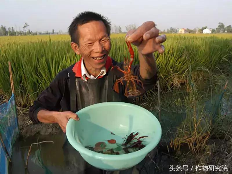 搞农业的赚不赚钱,什么样的农业项目可以挣钱