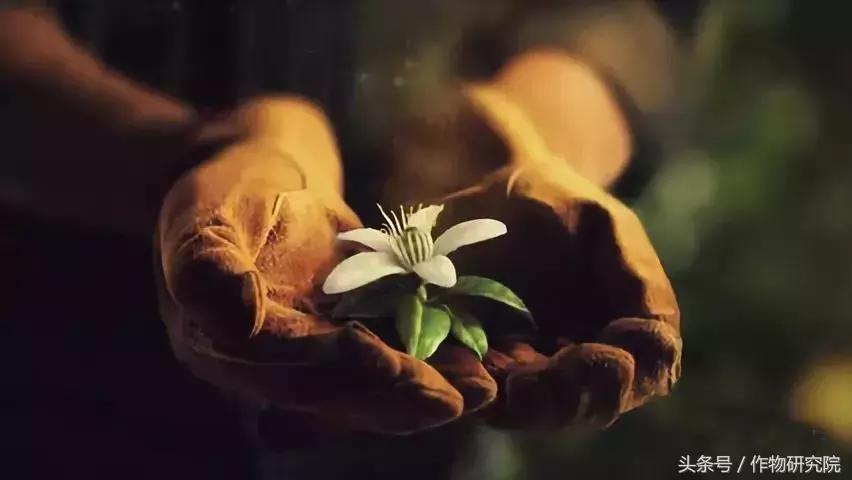 搞农业的赚不赚钱,什么样的农业项目可以挣钱