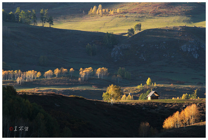 喀纳斯禾木村哪个值得去,喀纳斯禾木村白哈巴村