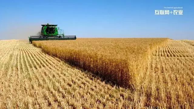 互联网农业种植有哪些步骤,互联网农业应用