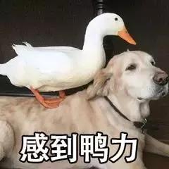 听说这句话，只有5%的人能念对