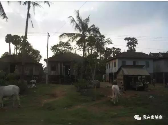 柬埔寨人真实生活视频,柬埔寨普通人生活的图片
