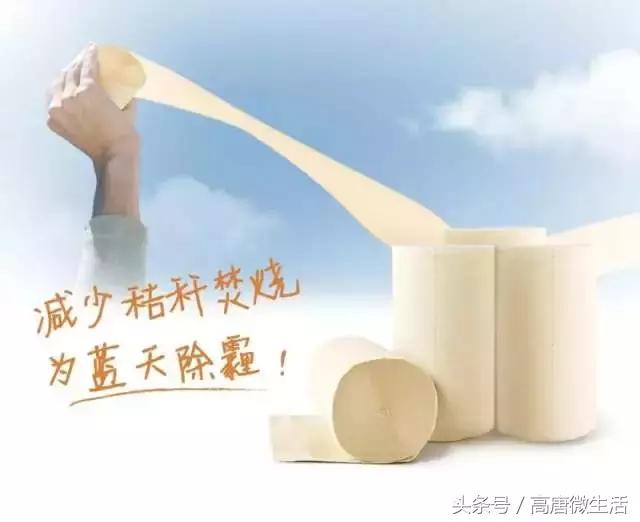 泉林总决赛第一人称,泉林冠军