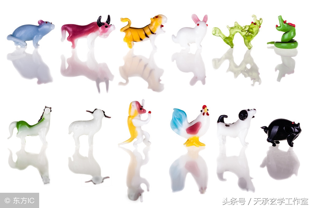 八字解说十二生肖,十二生肖三合局论命理