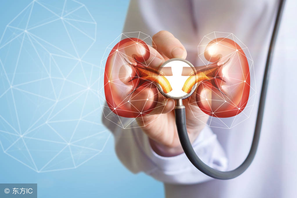 揭开肝硬化神秘的面纱,膜性肾病真实视频