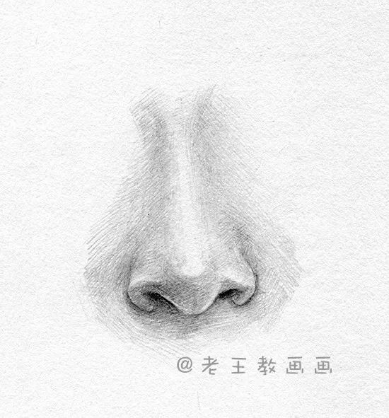 素描五官之鼻子结构图解,鼻子人脸素描画法视频教程