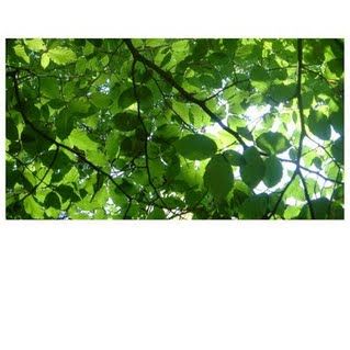 期末考试必听的歌,考试前听这几首歌轻松逆袭高分