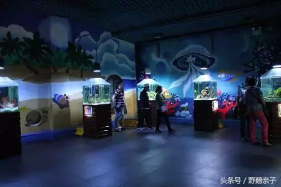 这个夏天去北京旅游好玩吗,夏天适合去的海底世界