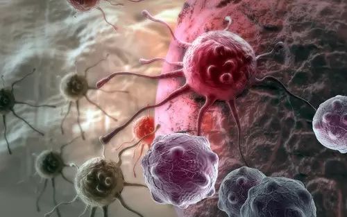 二甲双胍长寿研究的最新进展,服用二甲双胍最新研究成果