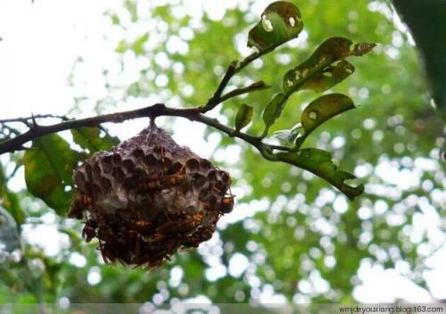 这些童年的回忆你还记得吗,那些童年的记忆