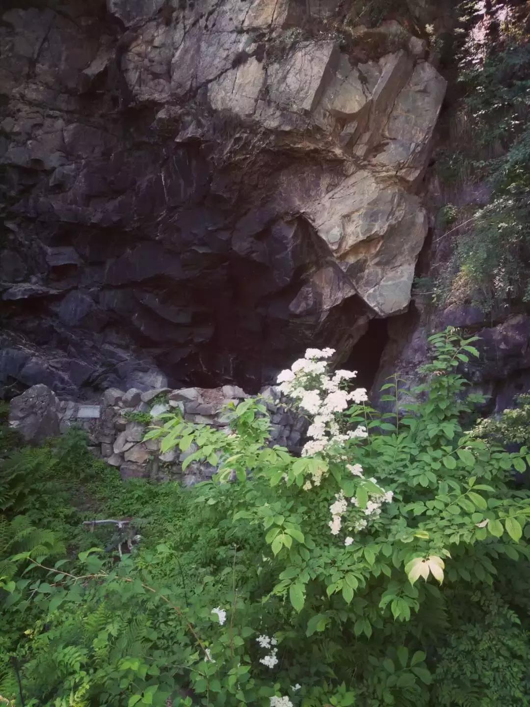 孟达天池与孟达自然保护区,西宁孟达天池旅游攻略