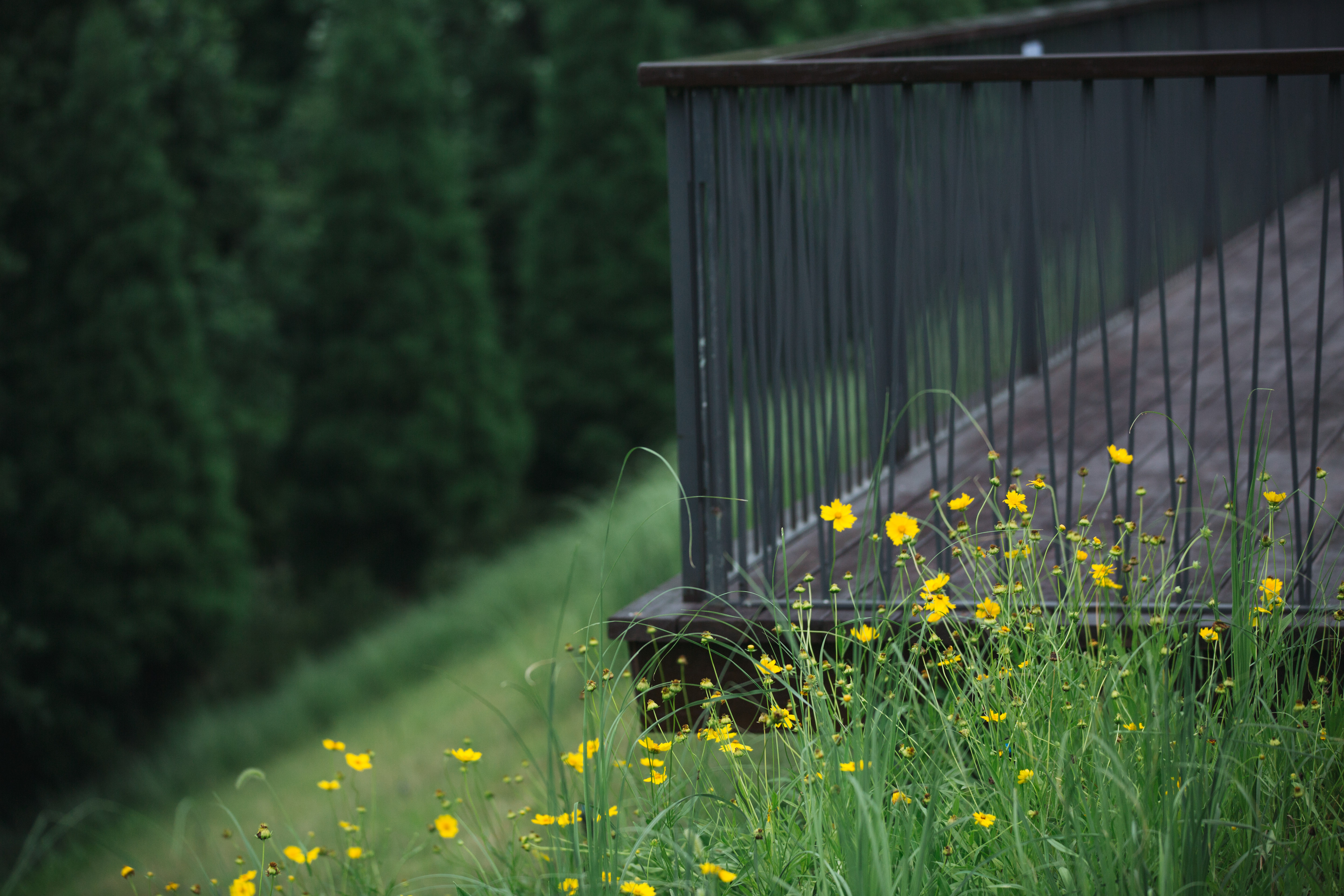莫干山郡安里君澜度假酒店怎么样,莫干山郡安里君澜度假