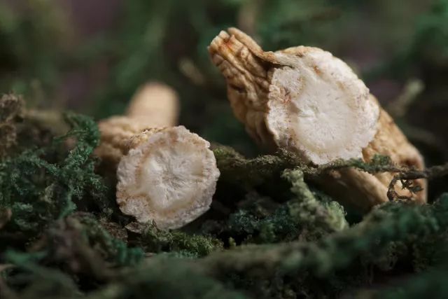 「V」TIME时代人物｜王乐：在全球饮食变革风潮中发出中国的声音