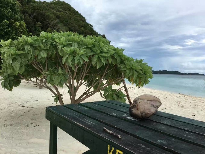 一个人的浪漫旅行视频,一个人的浪漫旅行自由自在