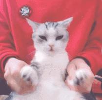 武汉体育中心门票,武汉免费体育场地