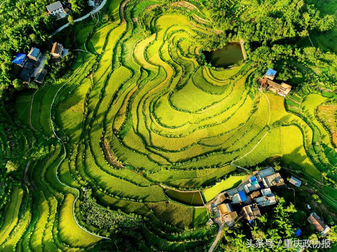 江津被称为硒都吗,江津硒玉遍布哪些地方