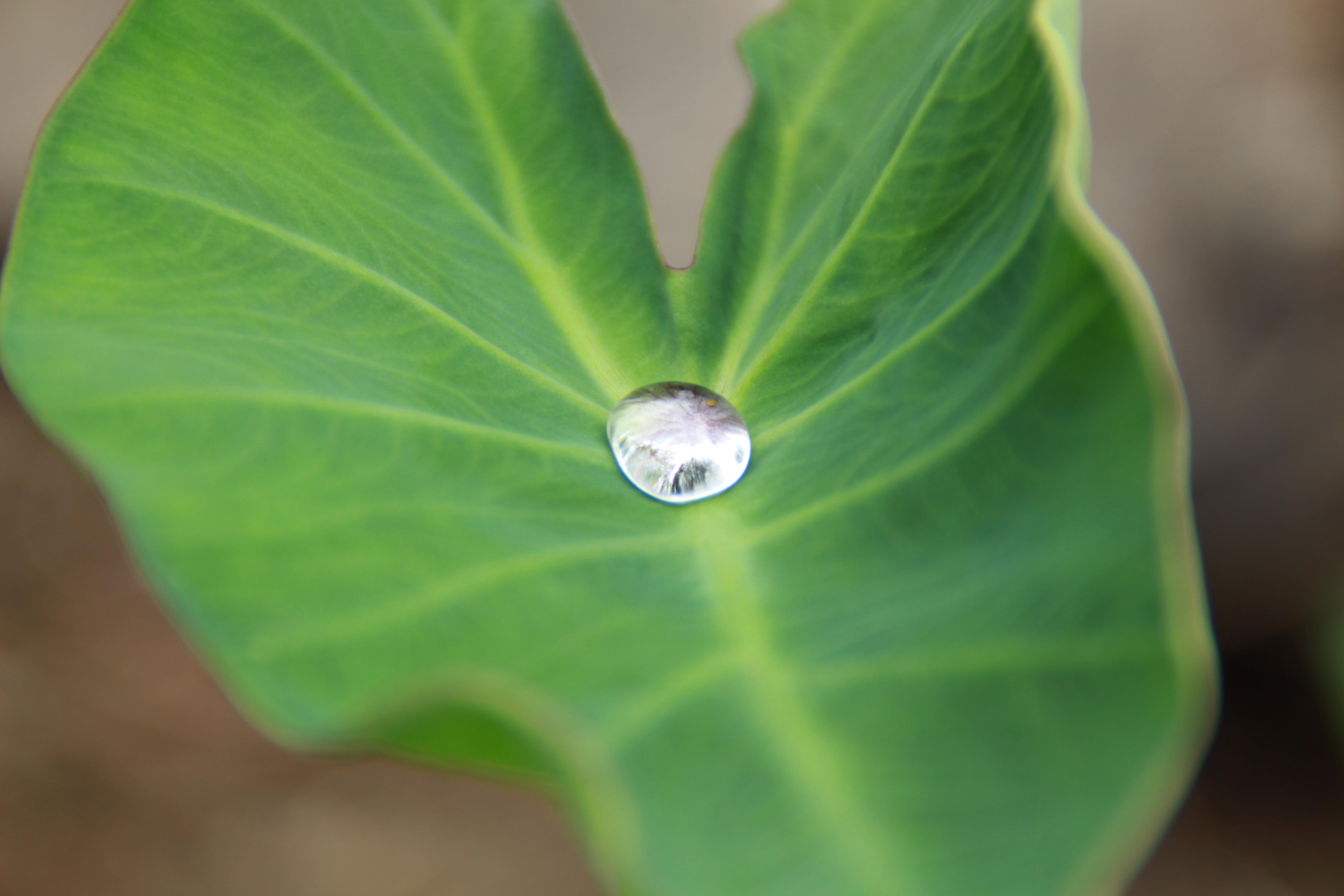 手机屏幕总是脏有指纹怎么办,手机屏幕用什么擦拭不容易粘指纹