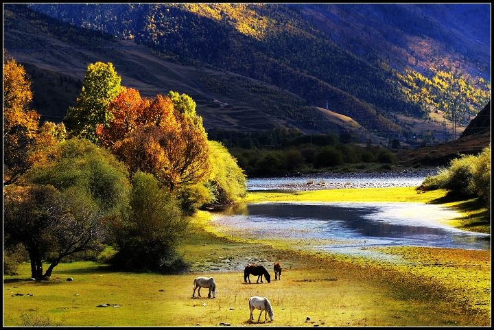 稻城亚丁自驾游攻略成都出发,成都到稻城亚丁自驾游路况如何