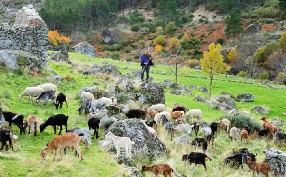 冰岛面膜好物推荐,深海白珍珠面膜