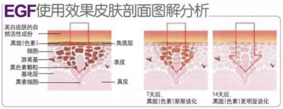 冰岛面膜好物推荐,深海白珍珠面膜
