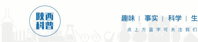 高价代购神药有哪些 (网上代购的神药)